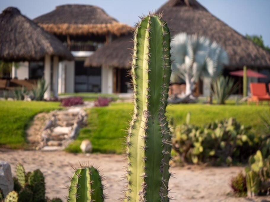 Villa De Las Rocas Puerto Escondido  Exterior photo